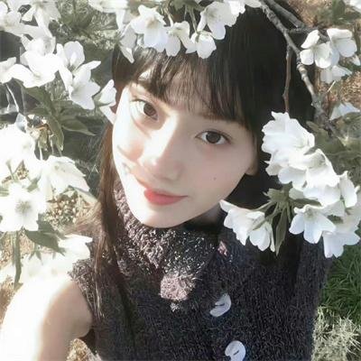 情陷亚维农
